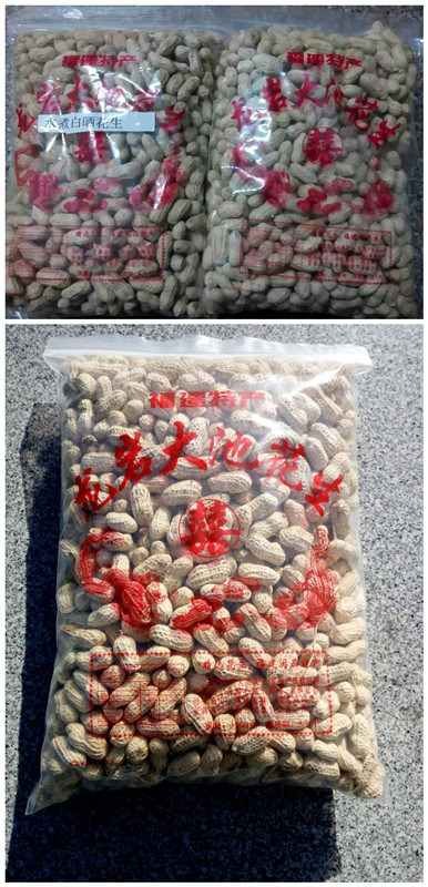出售大池花生,农家自产当季花生 龙岩美食 龙岩kk网 powered by