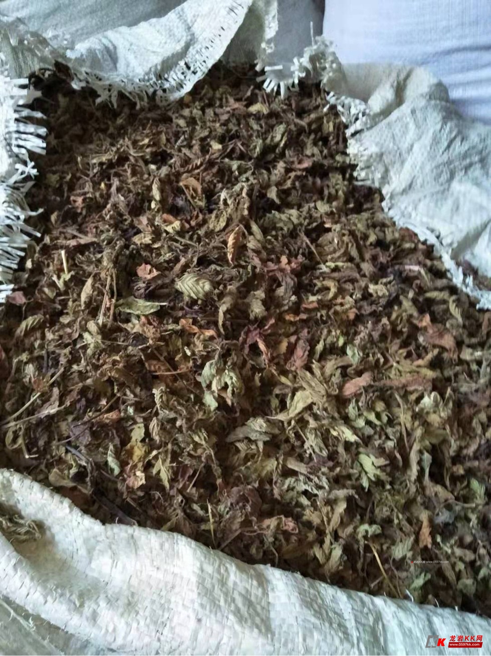 仙草干,仙草叶大量供应