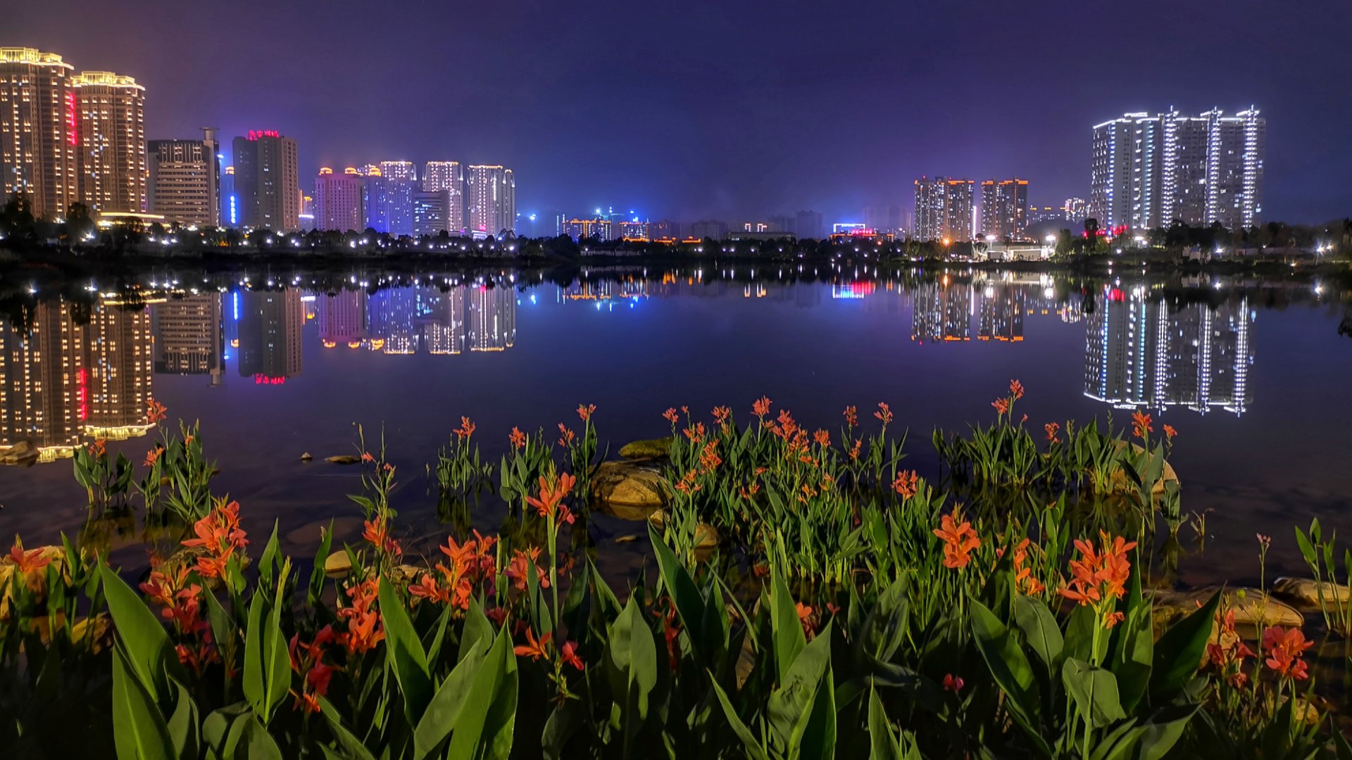 龙津湖公园夜景