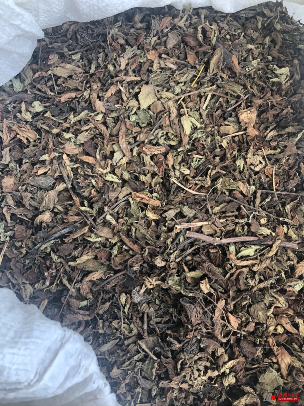 仙草干,仙草叶现货