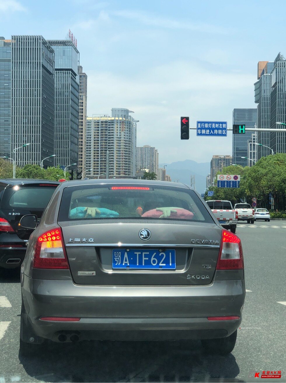 武汉车牌,路上看到,开个玩笑有点渗人,哈哈