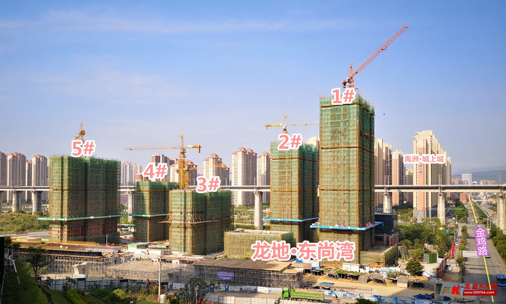 该项目近邻的东山湿地公园一期g地块已于今年元旦对市民开放,而龙岩市