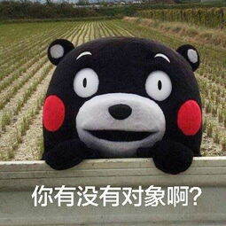 还在为脱单烦恼吗快上车小编带你云相亲