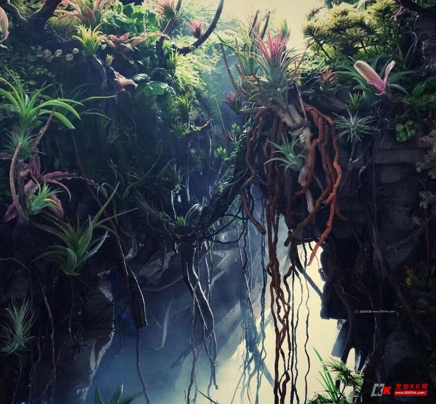 水族景观设计草缸雨林缸水陆缸原生缸定制