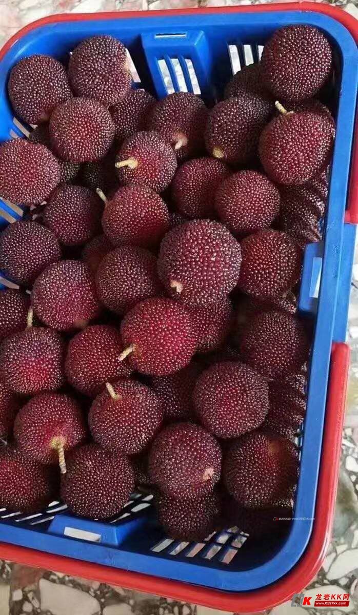 漳州杨梅好吃有想要的联系我哈13799745746