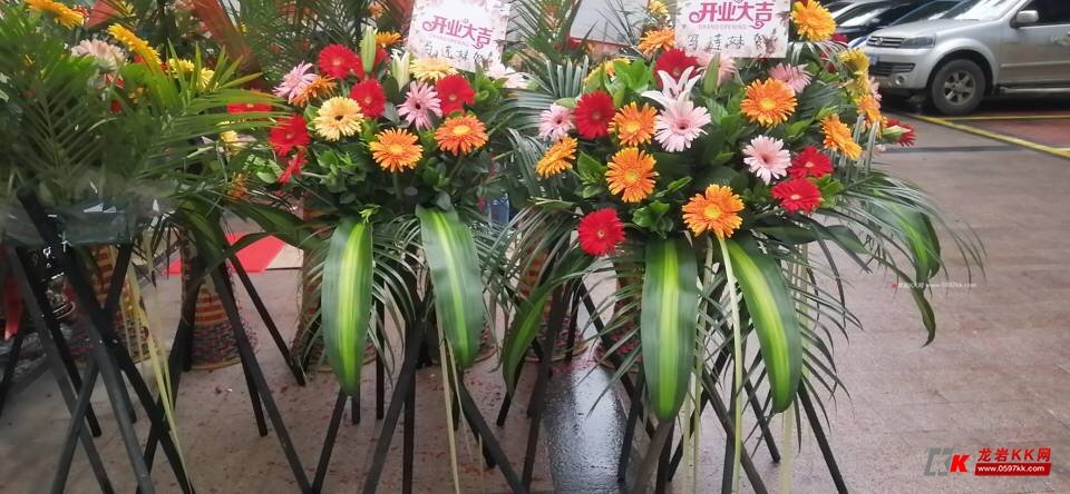 绿植租赁收费标准是多少