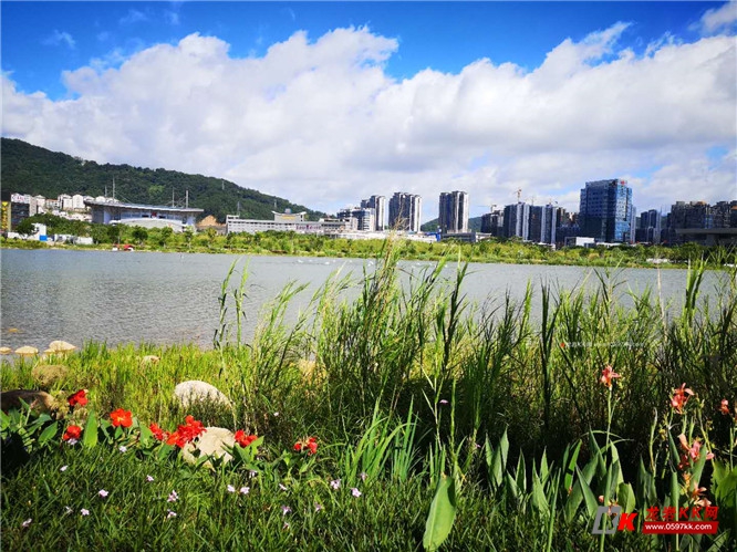 龍津湖公園6月22日起停車場開始收費啦~1小時內(含)免費