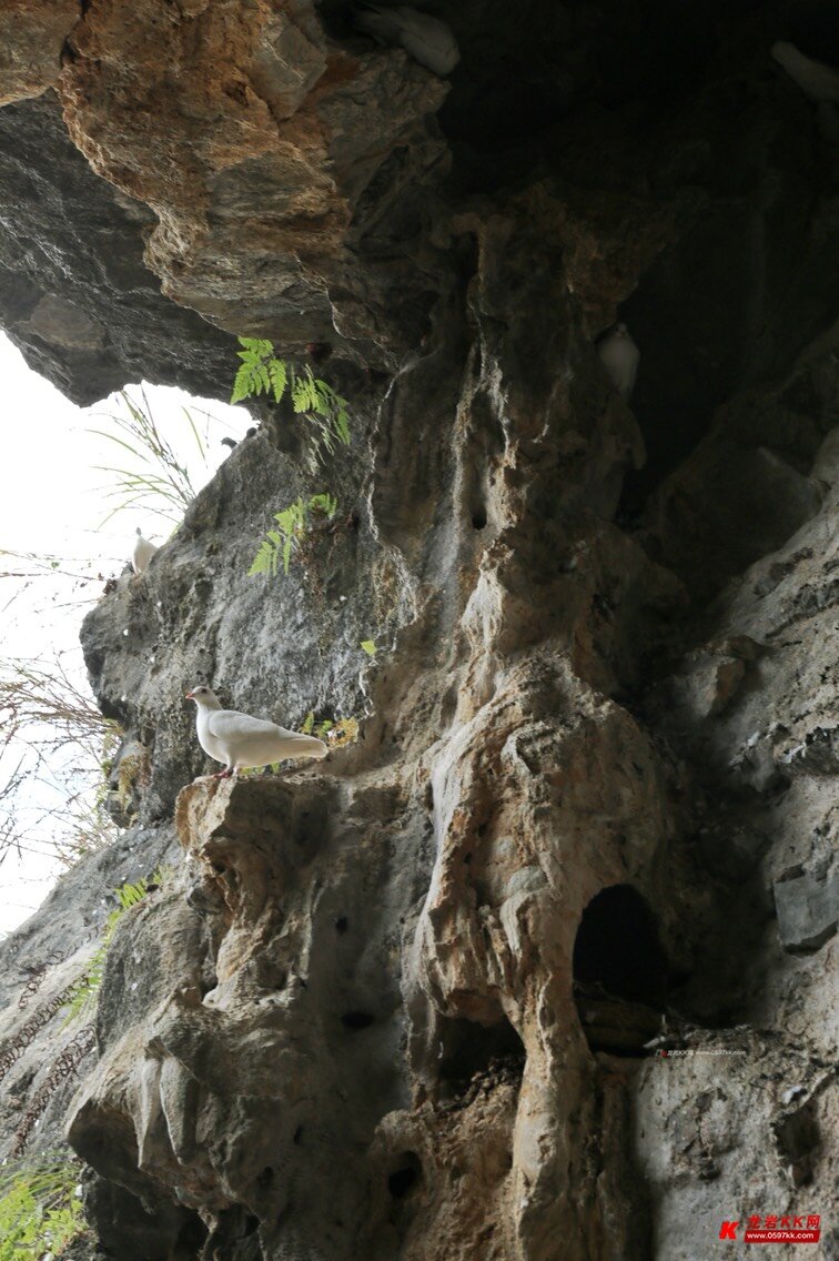 永定燕子岩 - 原创摄影 龙岩kk网