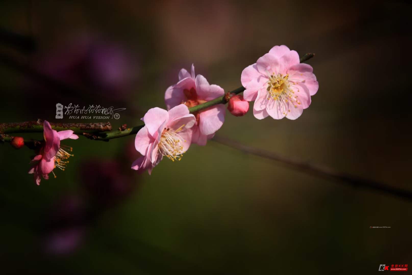 令人心生愉悦,心旷神怡!