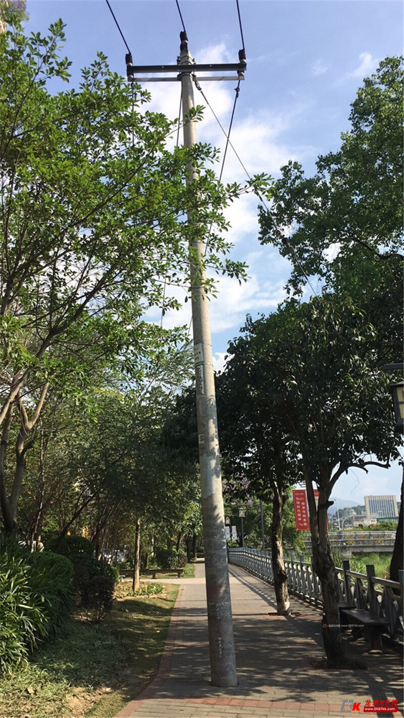 这两根电线杆在栈道上好几年了,咋不移走呢?
