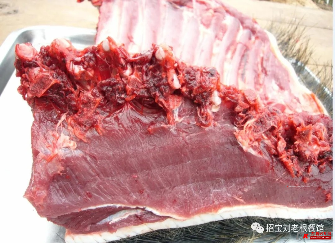 吃草的 特种山 猪肉颜色鲜红鲜红的
