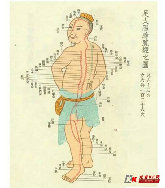 秋季是调养背部最佳时期