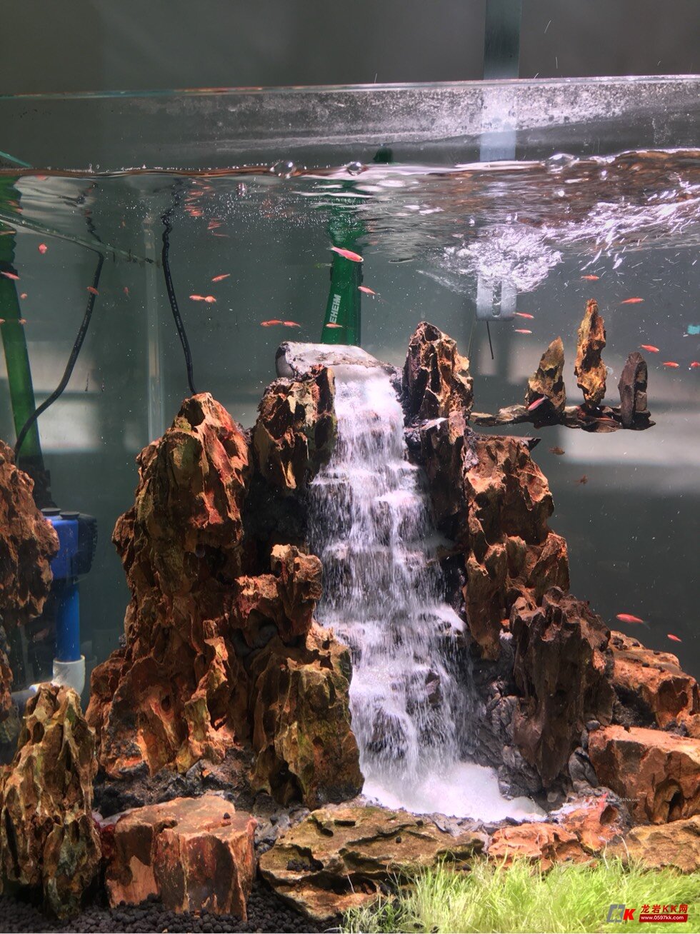 2米流沙瀑布草缸 喜欢的可以到小店泡茶聊天