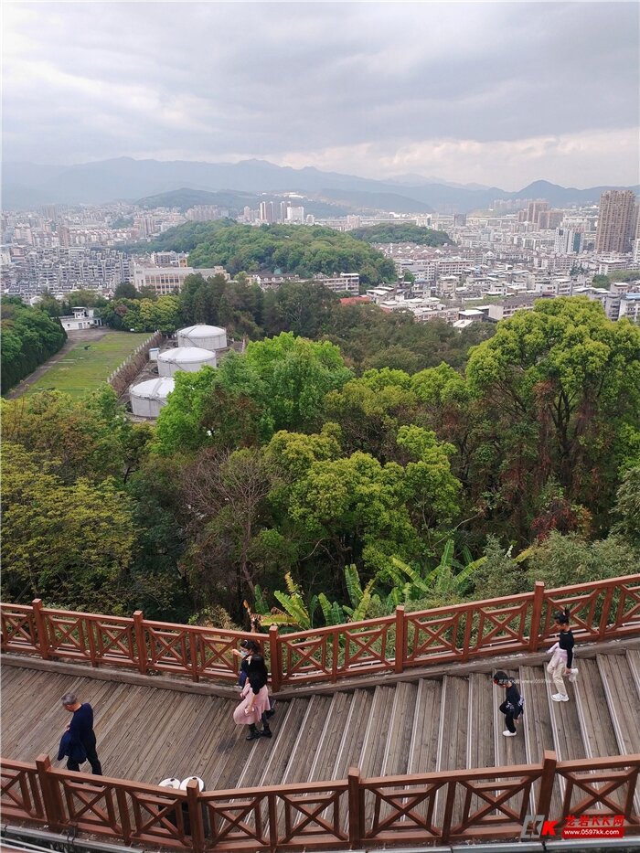 阳春三月里,怒放的天马山 - 龙岩热点 - 龙岩kk网 - powered by