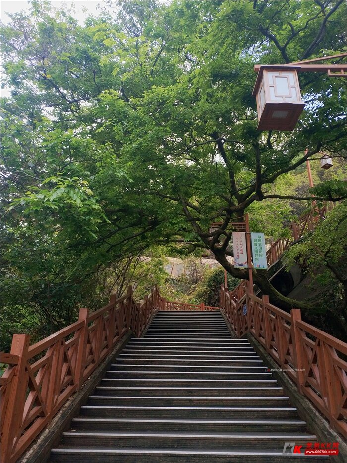 阳春三月里,怒放的天马山