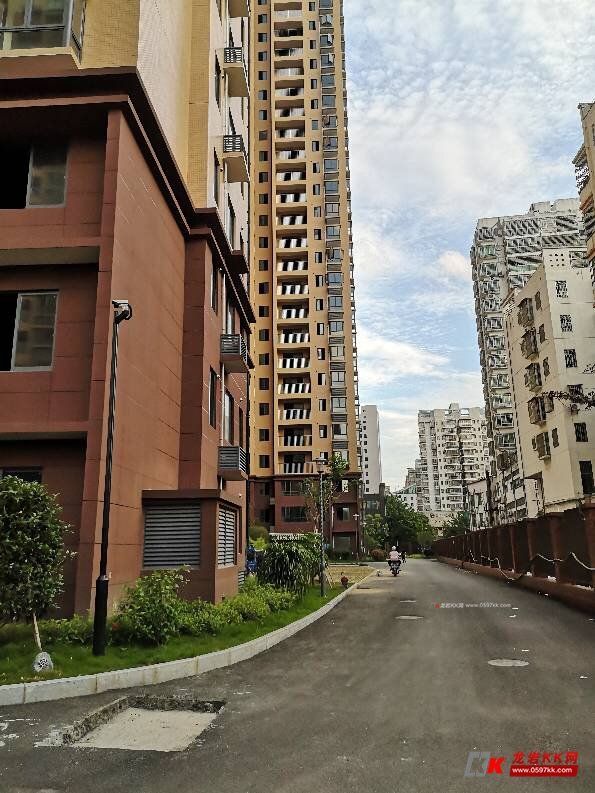 (龙地万福城c区)绿化实景呈现